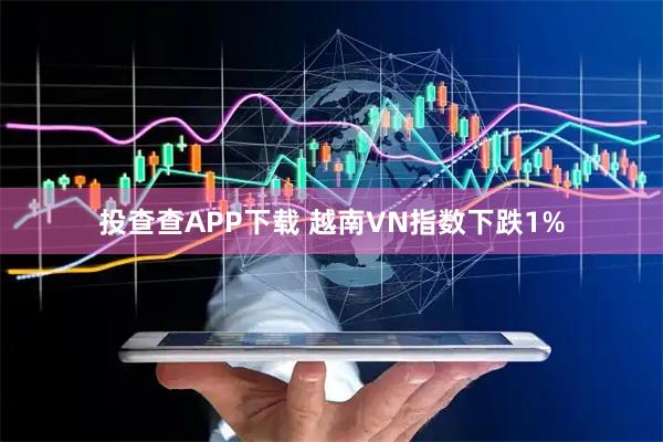 投查查APP下载 越南VN指数下跌1%