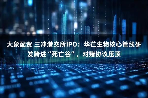 大象配资 三冲港交所IPO：华芢生物核心管线研发跨进“死亡谷”，对赌协议压顶